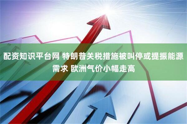 配资知识平台网 特朗普关税措施被叫停或提振能源需求 欧洲气价小幅走高